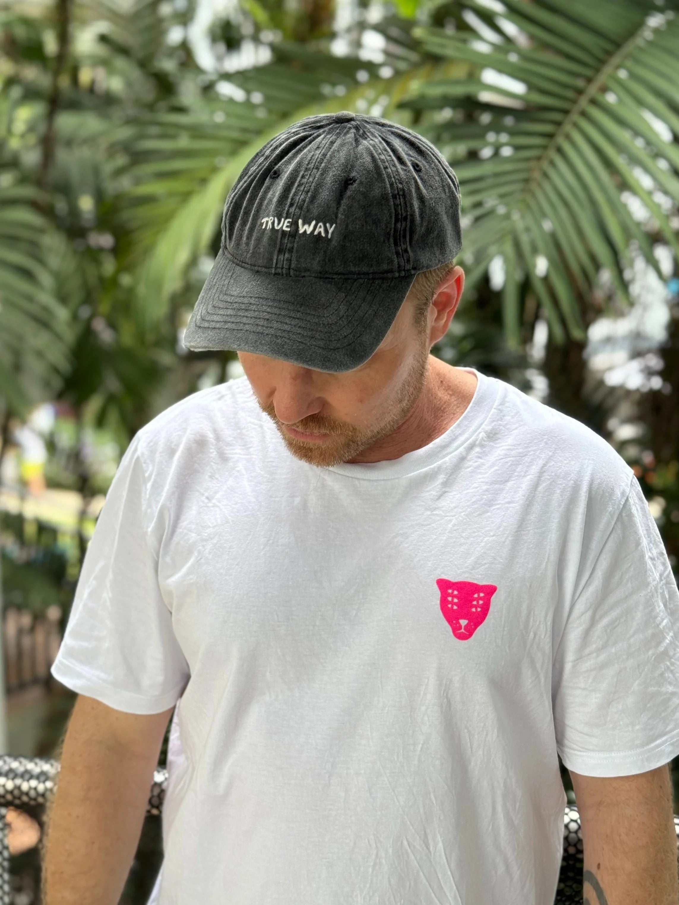 True Way cap / grey