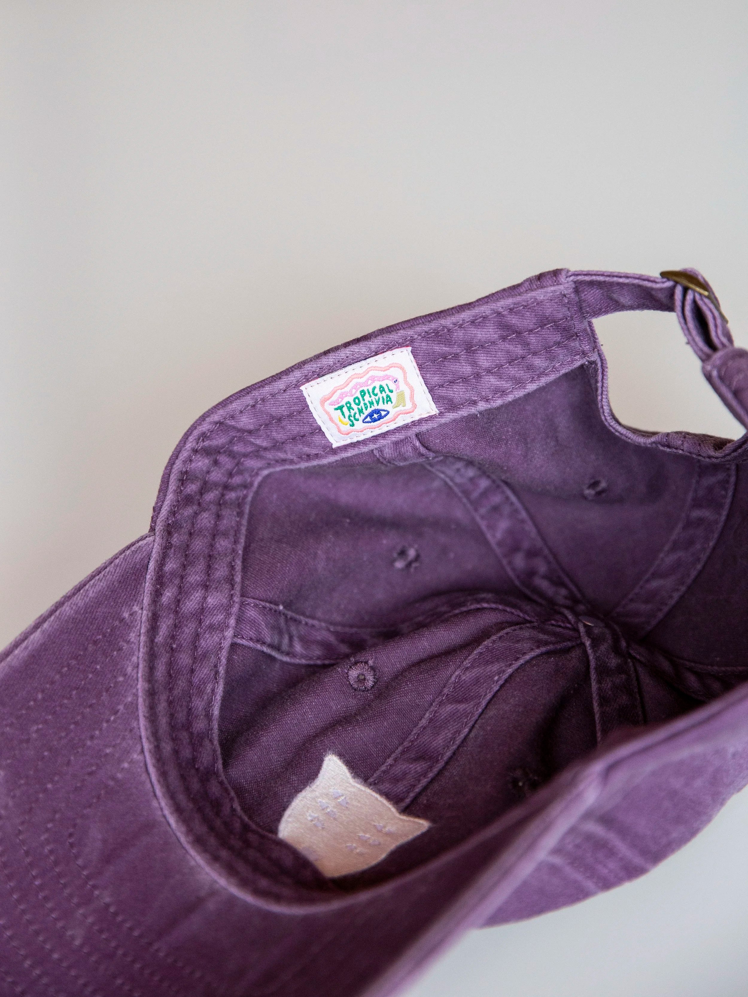 Protector cap / purple