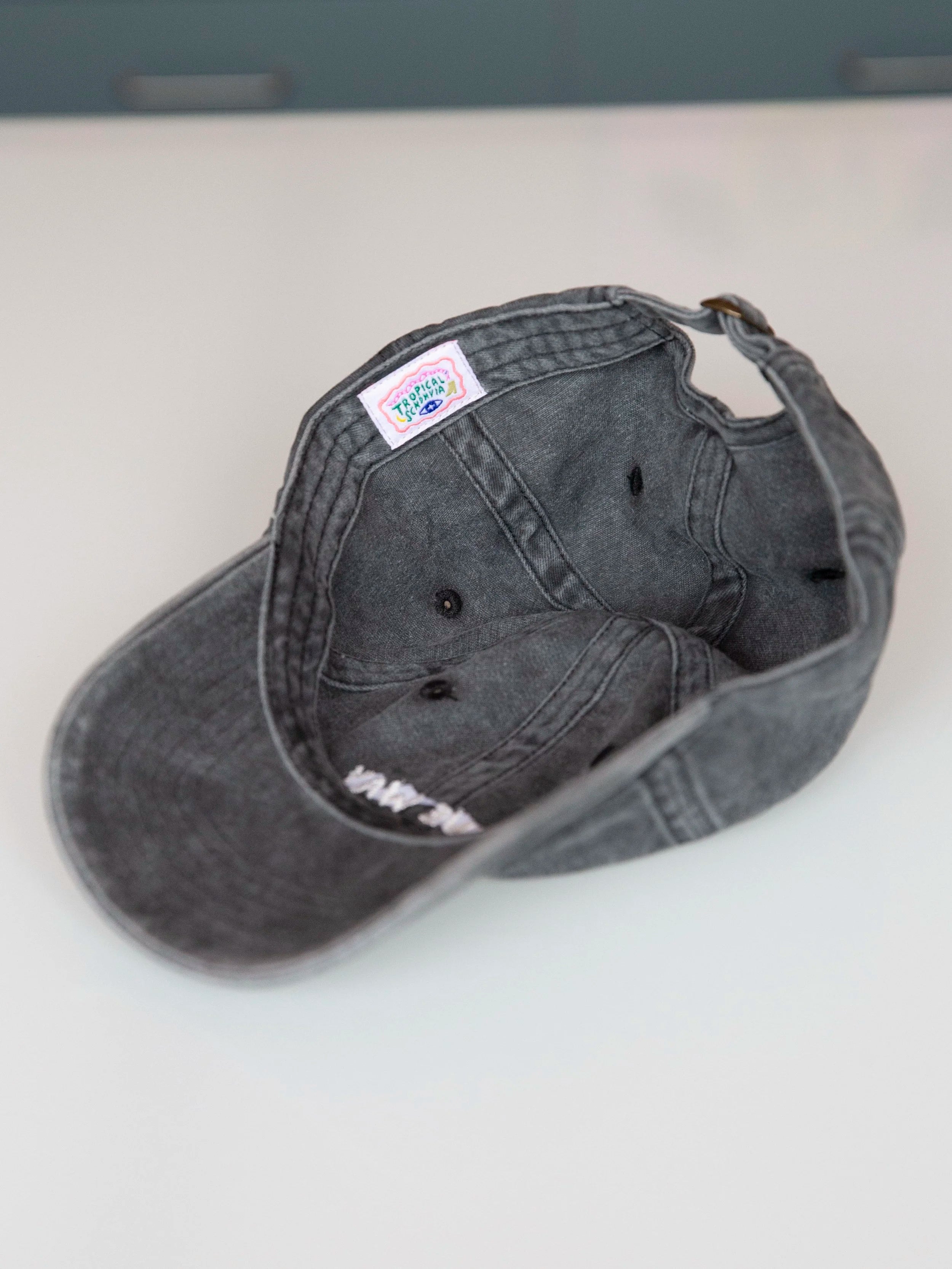 True Way cap / grey