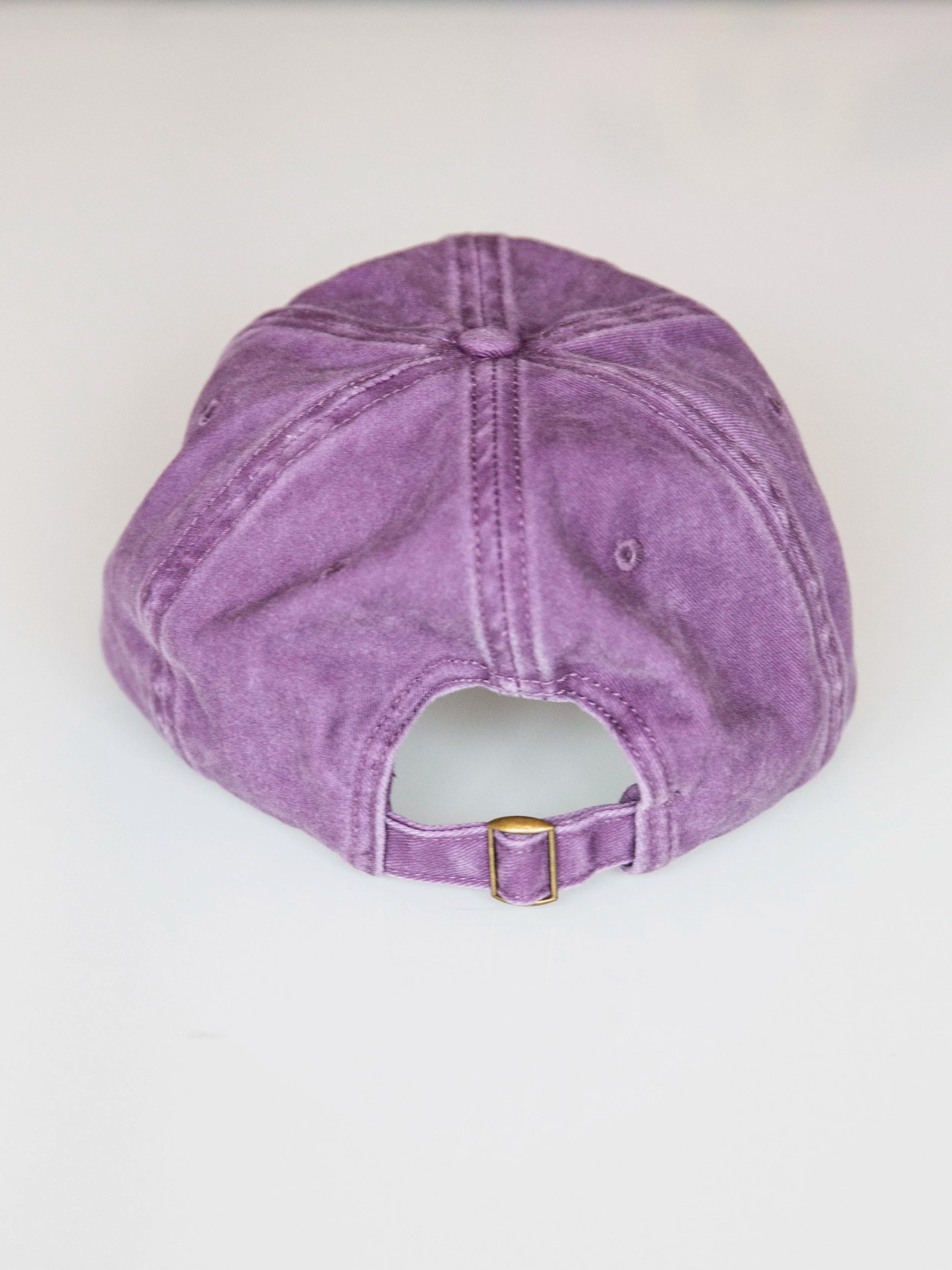 Protector cap / purple