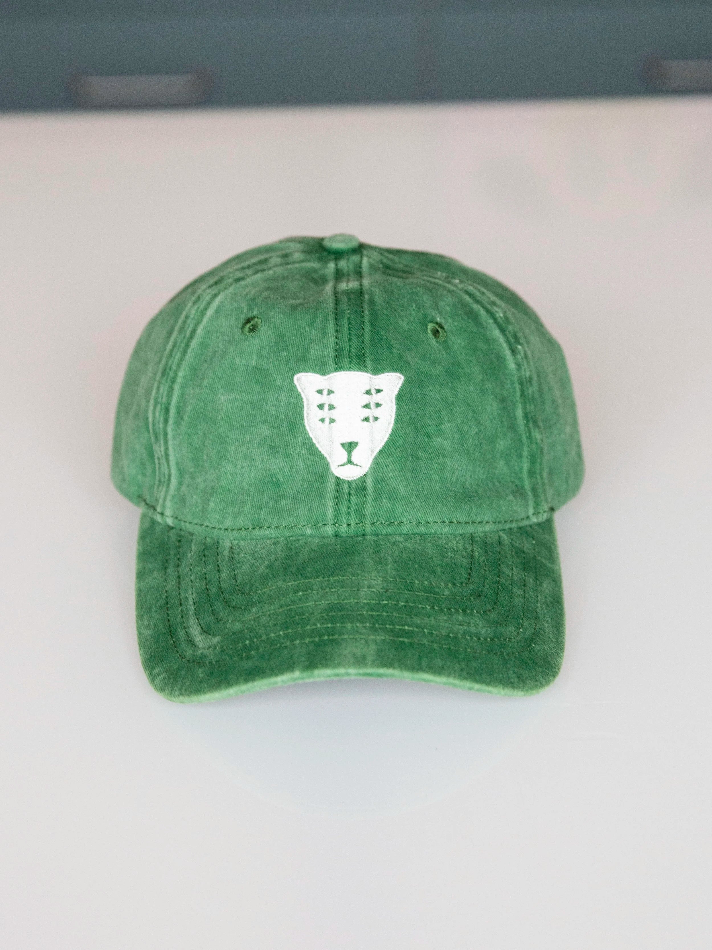 Protector cap / green