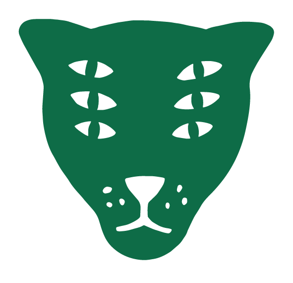 Custom icon